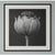 Abstract Poppy Pod Head No. 2 - Black and White Botanical Floral Photograph Print | Karl Blossfeldt | Unframed For Sale - Image 3 of 3