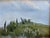 Up Hill by Caitlin Hurd | Oil on mylar Landscape with greenery and a cloudy sky For Sale