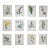 Authentic Antique 19th Century Anne Pratt Botanical Chromolithographs - Set of 12 For Sale
