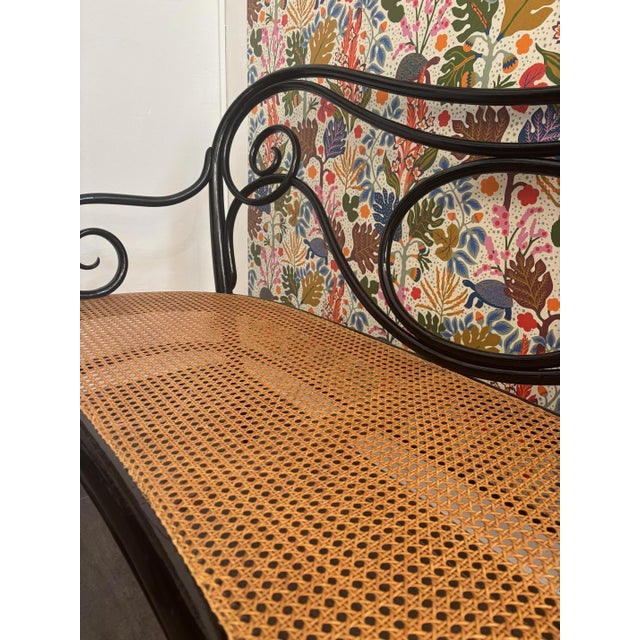 Sofa by Michael Thonet for Gebrüder Thonet, 1920s For Sale - Image 10 of 11