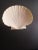 1980s Lenox Usa Ivory Fine Porcelain Shell Dish For Sale In Dallas - Image 6 of 7