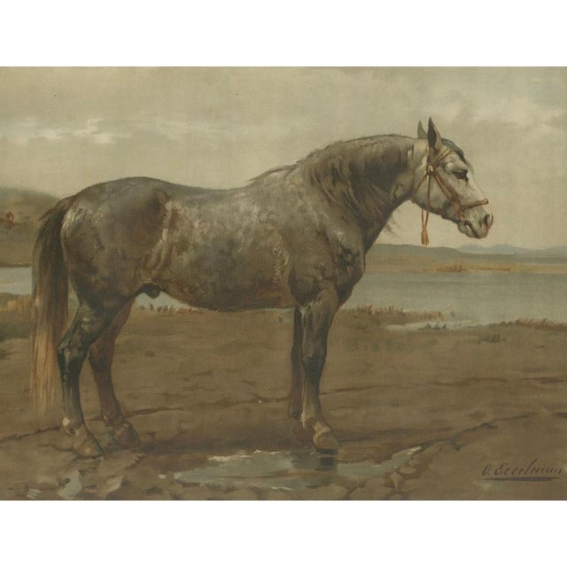 After Otto Eerelman, Russian Draft Horse, 1898, Lithograph on Paper For Sale - Image 3 of 9