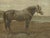 After Otto Eerelman, Russian Draft Horse, 1898, Lithograph on Paper For Sale - Image 3 of 9