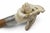 Wood Reindeer Carved Stag Deer Antler Handle Antique Walking Stick Cane For Sale - Image 7 of 13