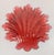 19th Century Group of Four Ruby Cranberry Red Shell Form Nut Dishes For Sale - Image 10 of 14