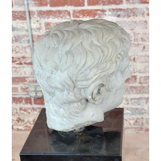 Ancient Marble Bust of Caligula -Roman Emperor For Sale - Image 11 of 12