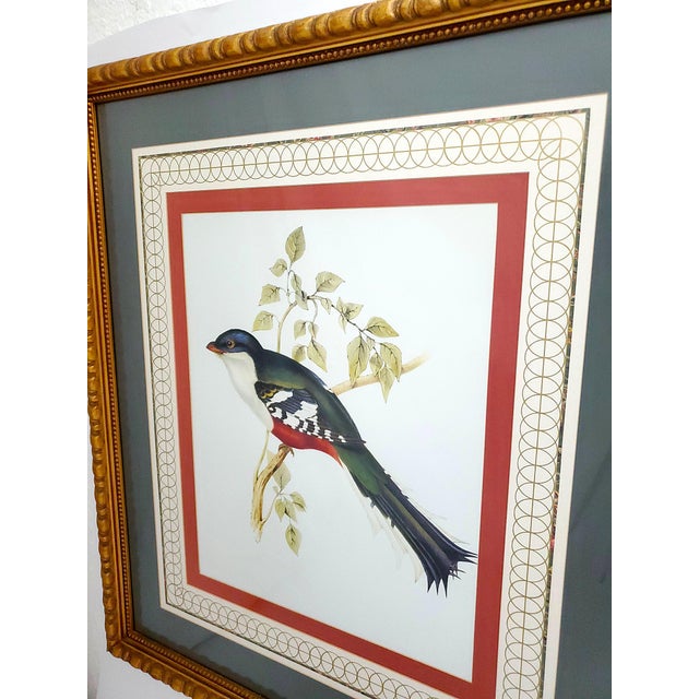 John-Richard Print Large Bird Reproduction Signed John-Richards For Sale - Image 4 of 11