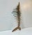 Brutalist Primeval Sword-Fish Skeleton in Bronze by Peder Evald Madsen, 1980s For Sale - Image 4 of 16