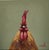 Rooster Portrait Oil Painting by Vivek Mandalia For Sale