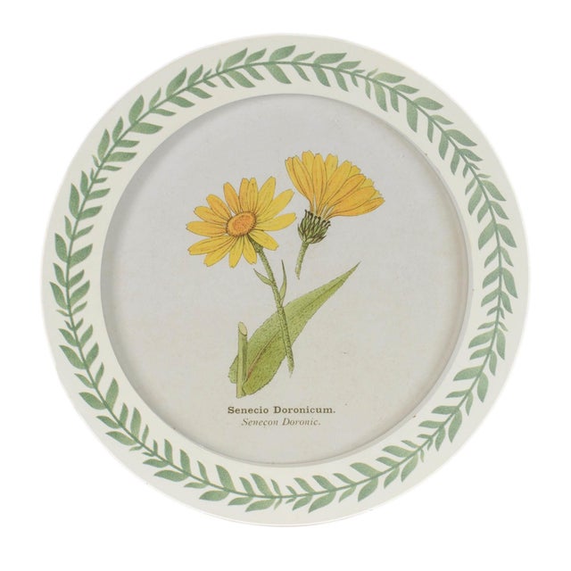 Kenneth Ludwig Chicago Round Framed Encyclopedia Floral Print (Set of 6) For Sale - Image 4 of 7