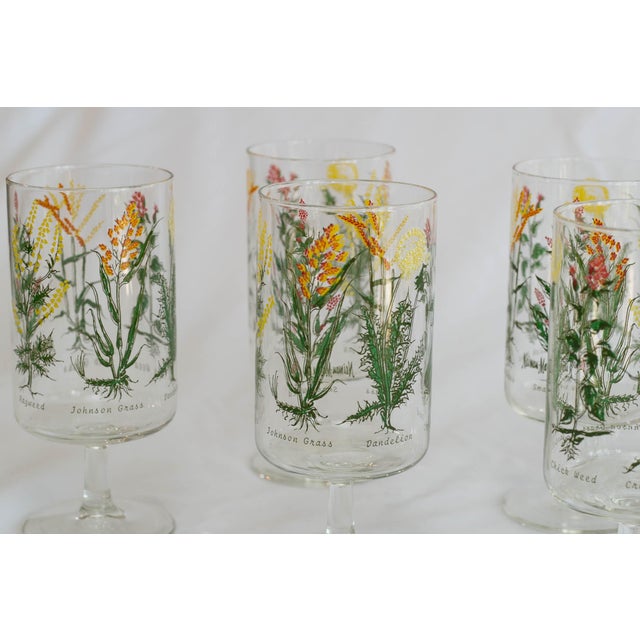 Vintage Neiman Marcus “Weed & Wildflower” Botanical Stem Glasses - Set of 6 For Sale - Image 4 of 13