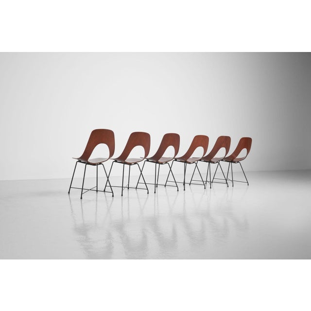 Black Ariston Dining Chairs by Augusto Bozzi for Saporiti, 1954, Set of 6 For Sale - Image 8 of 16