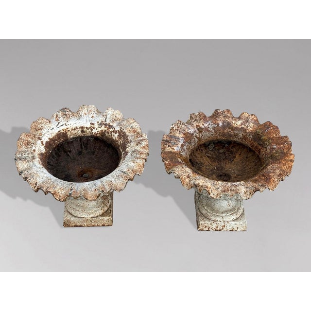 English Cast Iron Tazza Urns or Planters, 1860s, Set of 2 For Sale - Image 10 of 11