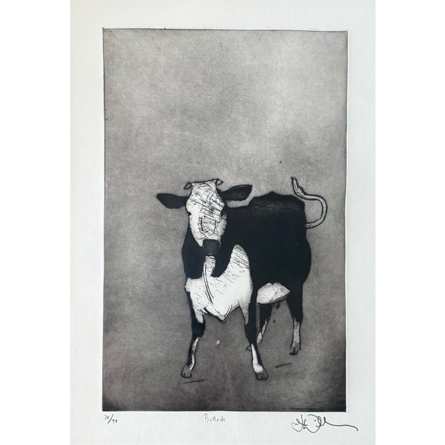Large Framed Etching of a Black and White Cow For Sale - Image 4 of 12