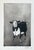 Large Framed Etching of a Black and White Cow For Sale - Image 4 of 12