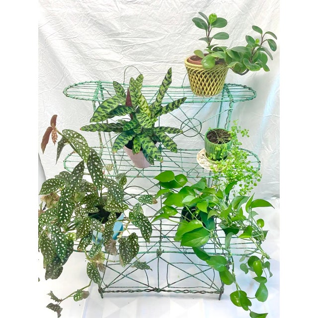 An elegant antique Victorian wire plant stand featuring three graduated tiers and its original green painted finish with...