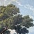 Italian Artist, Bucolic Landscapes, 1800s, Watercolor on Cardboard, Set of 2 For Sale - Image 4 of 14