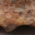Chestnut Large Ammonite Fossil Unique Accent For Sale - Image 8 of 16
