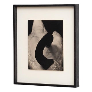 Albarran & Cabrera, Mouth of Krishna, Photographic Print, 2010s For Sale