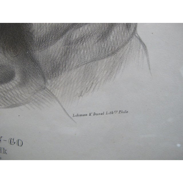 Figurative Ong Pa Ton Ga Omahas Chief Hand Colored Original e.c. Biddle Lithograph Print For Sale - Image 3 of 7