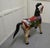 Late 19th Century 19th Century Carved and Painted Wooden Horse, 1880s For Sale - Image 5 of 9