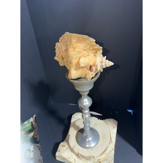 Celestial Meets the Sea the Crowned Glory-Coastal Art Sculpture For Sale - Image 4 of 4