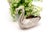 Swan-Shaped Silver Ring For Sale - Image 3 of 6