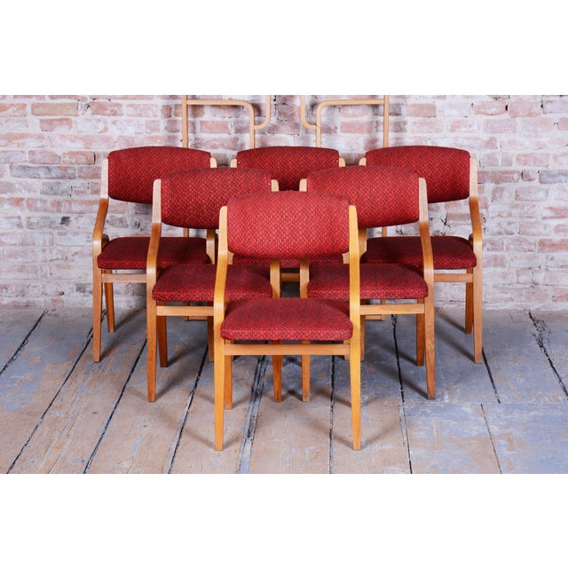 Mid-Century Czech Chair in Maple attributed to Ludvik Volak for Drevopodnik Holesov, 1960s For Sale - Image 10 of 18
