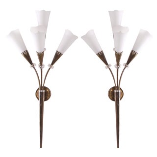 Arum Wall Lights from Maison Lunel, 1950s, Set of 2 For Sale
