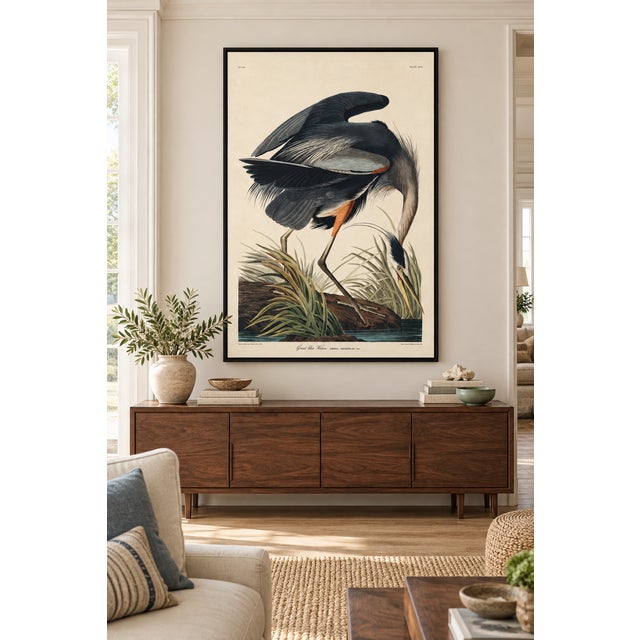 Illustration Great Blue Heron Framed Canvas Art by John James Audubon – Black Frame, 24" X 36" For Sale - Image 3 of 8