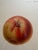 Series of 4 19th C Hand Colored Engravings of Apples For Sale - Image 13 of 17