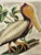 Shabby Chic Antique Polychrome Handpainted Pelican Ceramic Tile For Sale - Image 3 of 4