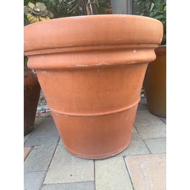 Large Vintage Italian Terracotta Garden Planter With Rolled Rim, Tuscany For Sale - Image 11 of 12