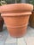 Large Vintage Italian Terracotta Garden Planter With Rolled Rim, Tuscany For Sale - Image 11 of 12