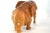 Mid 20th Century Hand Carved Wood Elephant For Sale - Image 5 of 9