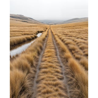"Line of Solitude" Contemporary Landscape Photograph by Michael Filonow For Sale
