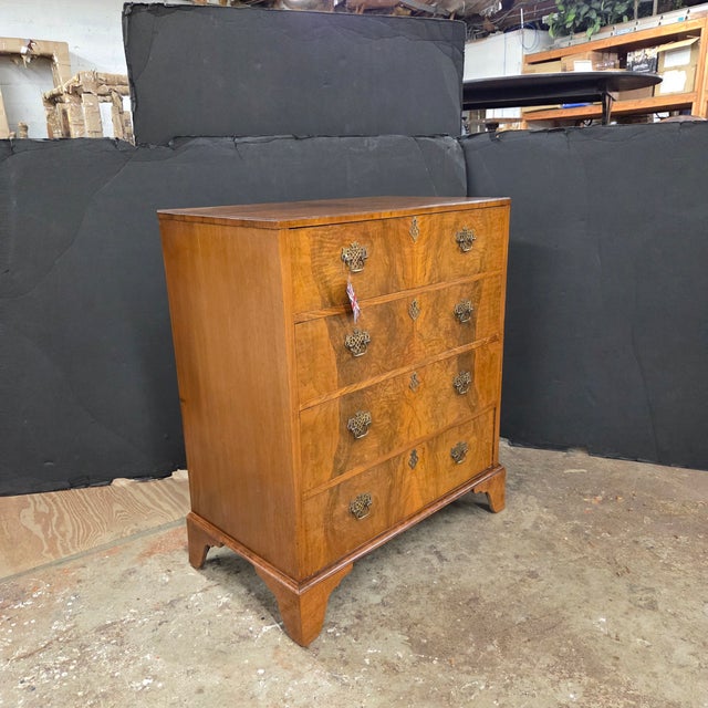 Early 20th Century English Burl Walnut 4 Drawer Chest With Brass Handles on Bracket Feet For Sale - Image 11 of 15