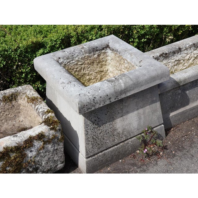 Gray Mid-Century French Limestone Planters, 1950s, Set of 4 For Sale - Image 8 of 12