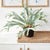 Kenneth Ludwig Chicago Staghorn Fern Drop-In 21" For Sale - Image 4 of 7