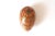 Vintage Kashmir Egg Trinket Box Handmade Papier Maché For Sale - Image 11 of 11