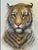 Traditional Vintage Tiger, Oil on Canvas signed ' by Watson' For Sale - Image 3 of 13