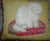 19th Century 19th Century Needlepoint Cat Pillow For Sale - Image 5 of 9