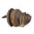 The Pende tribe is a Bantu-speaking people who reside in the southeastern region of the Democratic Republic of the Congo....