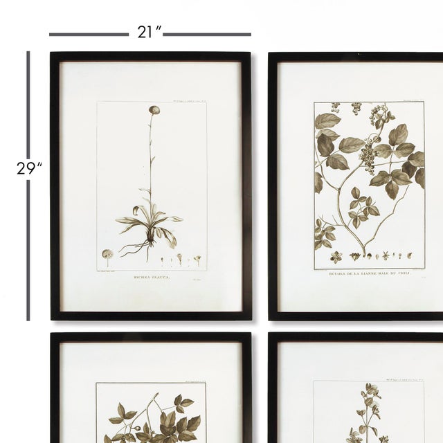 These delicate botanical prints are the epitome of understated elegance. The varied composition and clean illustrations...