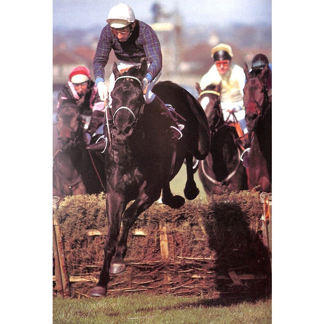 Animal Skin "Le Cheval Roi" 1983 Dossenbach, Monique & Jean D. For Sale - Image 7 of 11