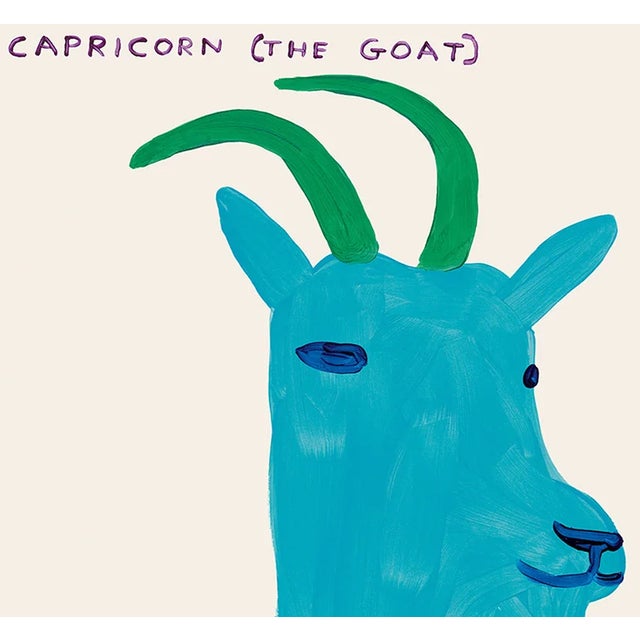 Contemporary David Shrigley Capricorn Signs of the Zodiac Lithograph Poster (The Goat), 2021 For Sale - Image 3 of 4