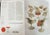 Mid-Century Modern 1,000 Chairs by Charlotte & Peter Fiell, Taschen 2016 Design Reference Book For Sale - Image 3 of 4