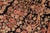 Shabby Chic Medallion 1990's Pak-Persian Black/Gold Wool Rug - 5'11'' X 9'1'' For Sale In New York - Image 6 of 9