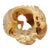 2010's Hand Carved Tagua Nut Dragon - 2-1/2" X 3" - Figurine - Vegetable Ivory For Sale