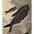 Contemporary Fossil Fish Mural For Sale - Image 3 of 5